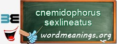 WordMeaning blackboard for cnemidophorus sexlineatus